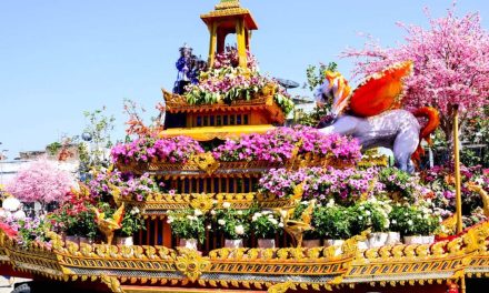 Mengabadikan Momen Indah Di Festival Bunga Chiang Mai
