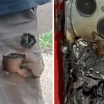 Ledakan Ponsel Di Saku Selamatkan Pria Dari Serangan Anjing