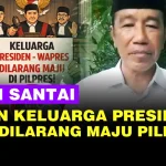Gugatan Larangan Keluarga Presiden Di Pilpres, Ini Kata Demokrat