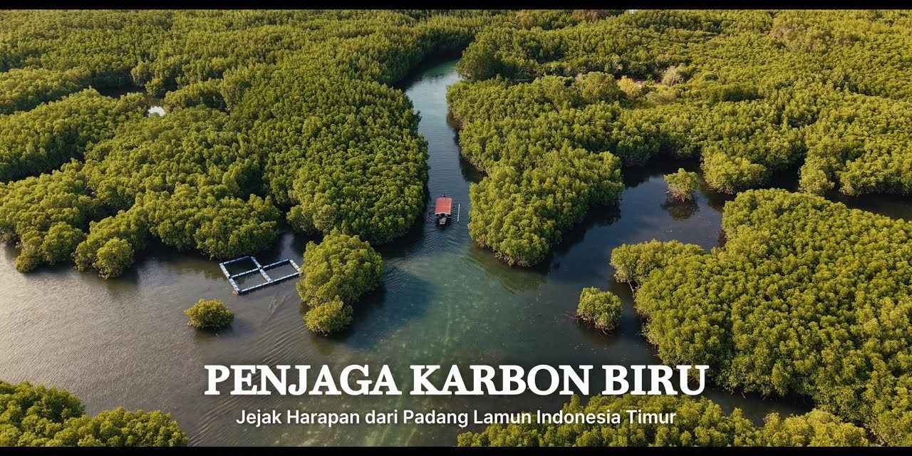 Padang Lamun Jadi Sorotan BRIN Karena Menyimpan Karbon