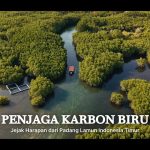 Padang Lamun Jadi Sorotan BRIN Karena Menyimpan Karbon