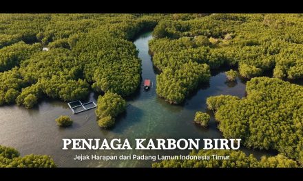 Padang Lamun Jadi Sorotan BRIN Karena Menyimpan Karbon