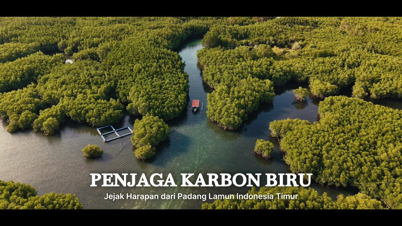 Padang Lamun Jadi Sorotan