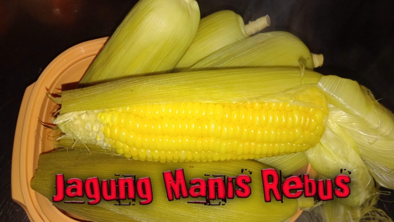 Rahasia Rebus Jagung