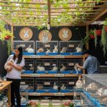 Ide Usaha Ternak Santai Tapi Cuan Di Usia 40 Tahun