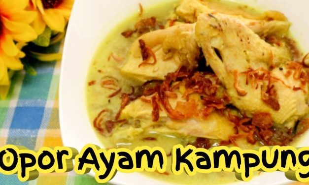 Cara Mudah Membuat Opor Ayam Kampung Empuk Dan Lezat