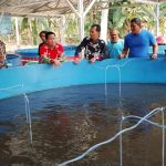 Bantuan Kolam Ikan: Pentingnya Peran Praktisi Untuk Kemajuan