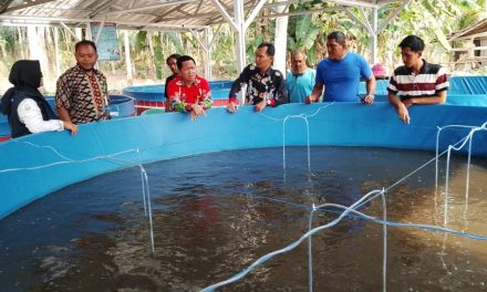 Bantuan Kolam Ikan: Pentingnya Peran Praktisi Untuk Kemajuan