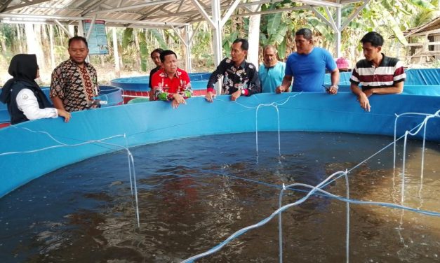 Bantuan Kolam Ikan: Pentingnya Peran Praktisi Untuk Kemajuan