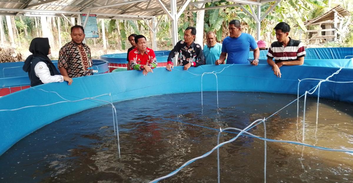 Bantuan Kolam Ikan: Pentingnya Peran Praktisi Untuk Kemajuan