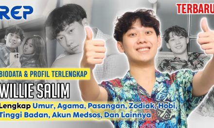 Willi Salim, Representasi Generasi Muda Kreatif Di Media Sosial