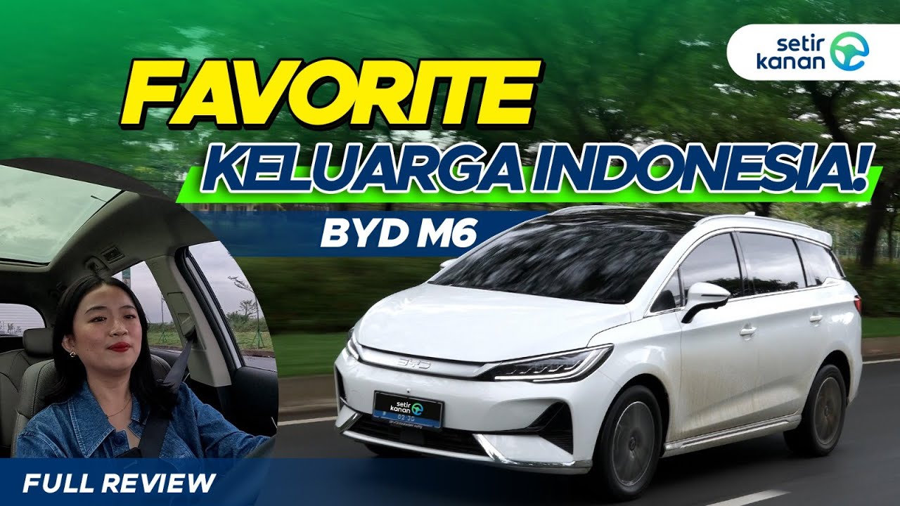 BYD M6